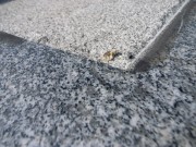 ���п幤����ȸ�