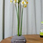 長良川の石の小物