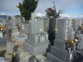 大島石のデザイン墓石完成