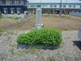 雑草が生い茂ったお墓