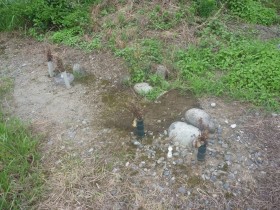 少し離れたところにあるお墓の土も一握りずつ回収