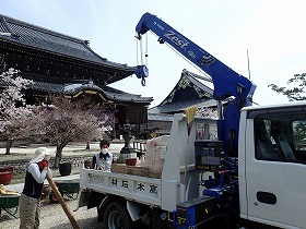 高田本山