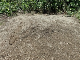 土をならしてお墓の解体撤去工事完了