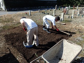 草取り土掘り