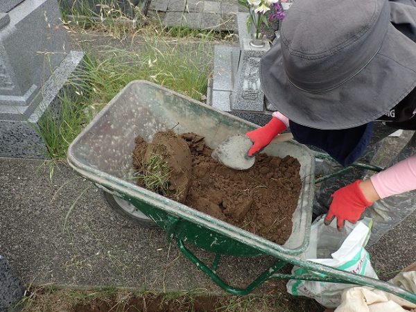 泥の中から草の根を分別