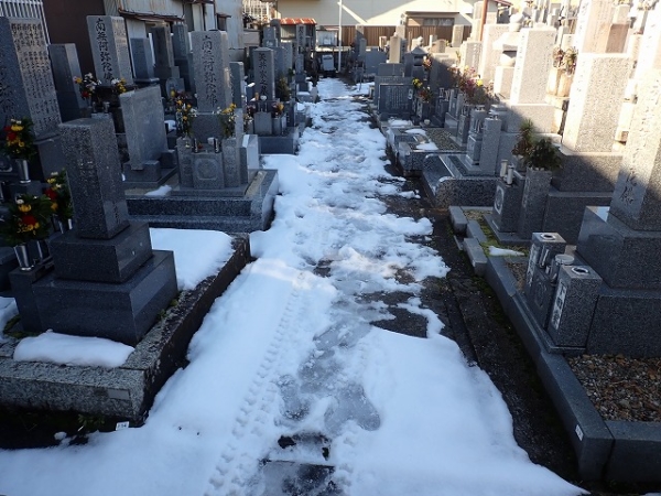 雪が残る道