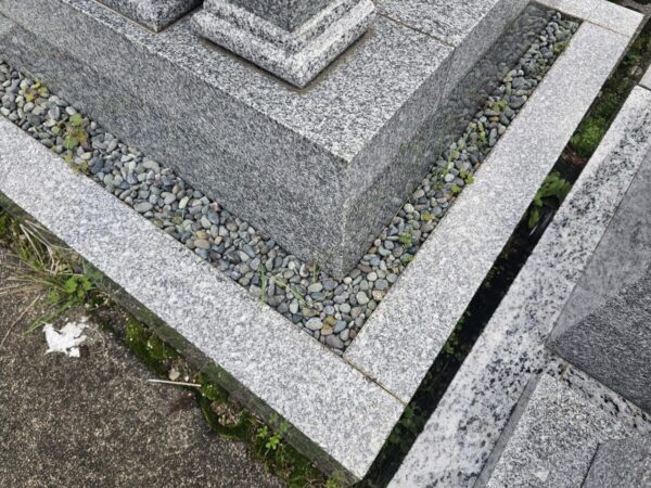 隙間に生えた雑草