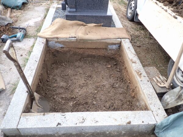 しっかり掘りました