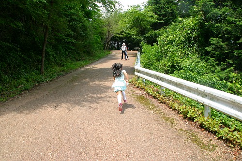 舗装路みたいな登山道？