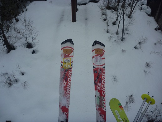 ROSSIGNOL DEMO ALPHA 13 SN R18