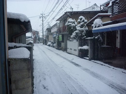 岐阜はやっぱり雪