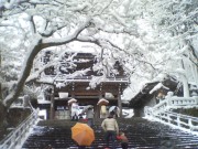 雪の初詣