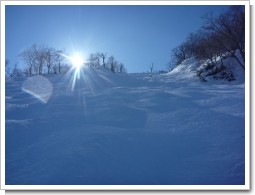 今回のお気に入り写真