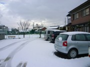 岐阜の雪