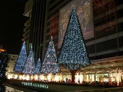 名古屋駅のツリー