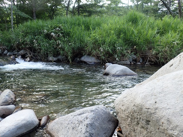 岩の前で岩魚