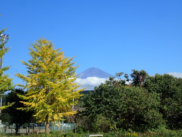 富士山を望む