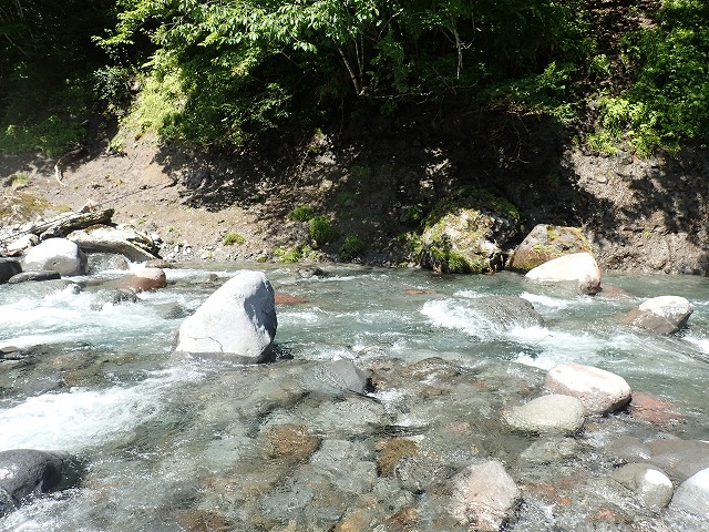 壁際で25cm岩魚