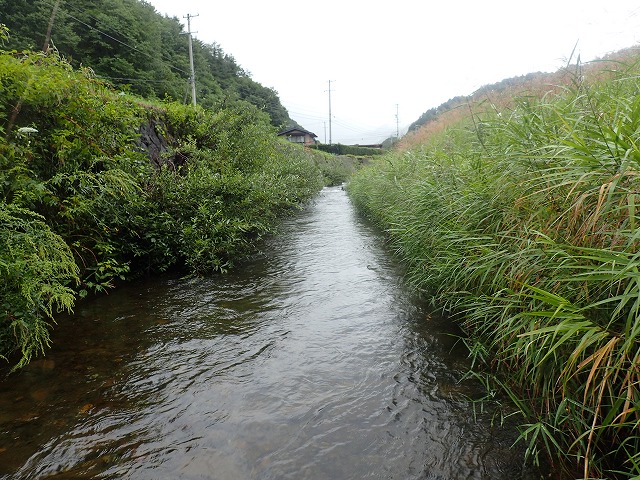 細い川に入りました