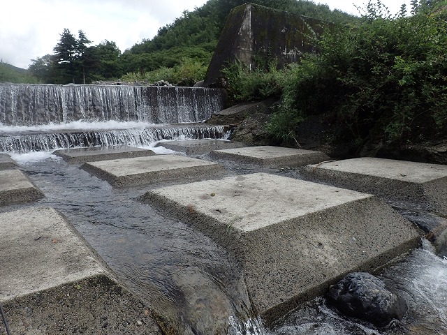 堰堤で、岩魚