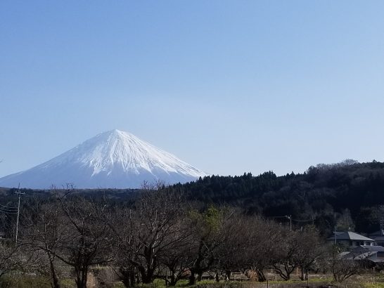 富士山